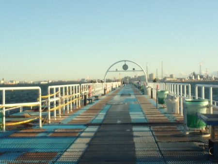 オリジナルメーカー海づり公園(市原市海づり施設) 釣果