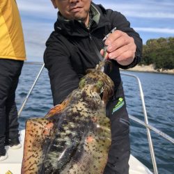 Magic（マジック） 釣果