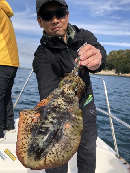 Magic（マジック） 釣果