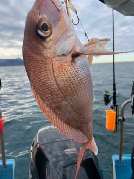 宝昌丸 釣果