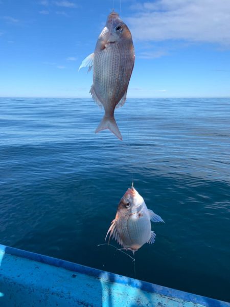 宝昌丸 釣果