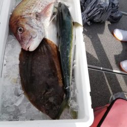 第二大福丸 釣果
