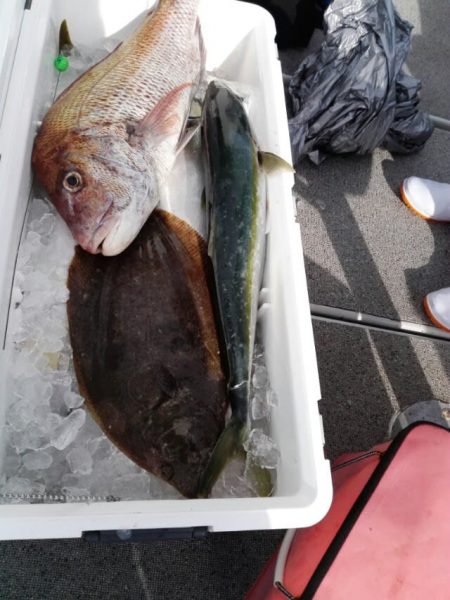 第二大福丸 釣果