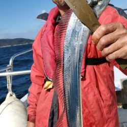 遊漁船　ニライカナイ 釣果