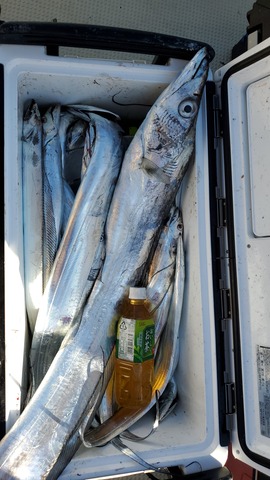 遊漁船　ニライカナイ 釣果