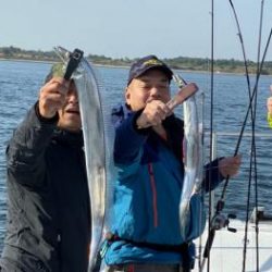 シーマジカル 釣果