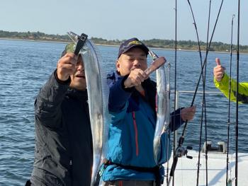 シーマジカル 釣果