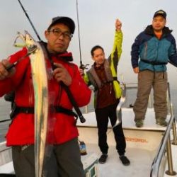 シーマジカル 釣果