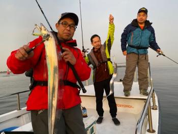 シーマジカル 釣果