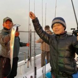 シーマジカル 釣果