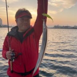 シーマジカル 釣果