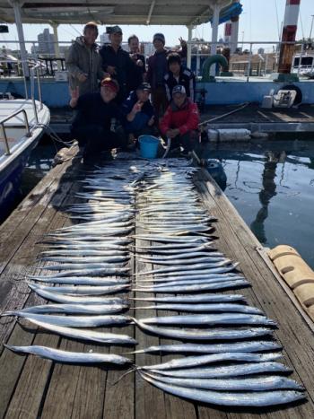 シーマジカル 釣果