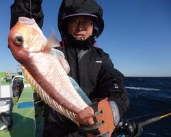 久里浜黒川本家 釣果