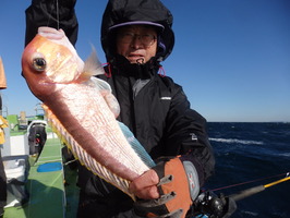 久里浜黒川本家 釣果