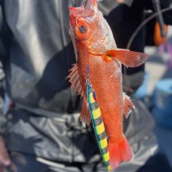 へいみつ丸 釣果