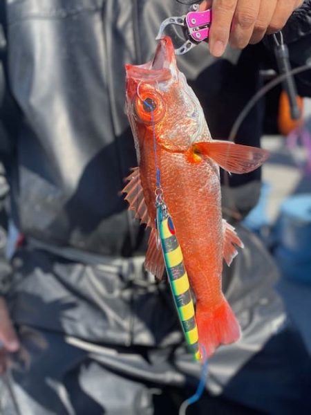 へいみつ丸 釣果