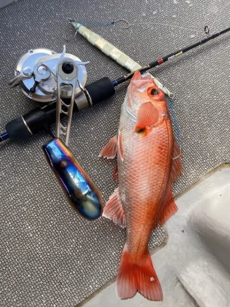 へいみつ丸 釣果