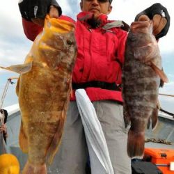 ファイヤードルフィン 釣果