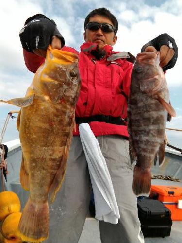 ファイヤードルフィン 釣果