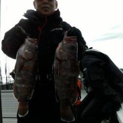 ファイヤードルフィン 釣果