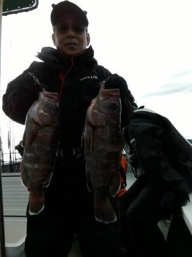 ファイヤードルフィン 釣果