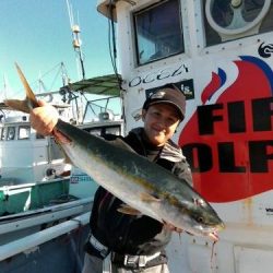 ファイヤードルフィン 釣果