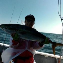 ファイヤードルフィン 釣果