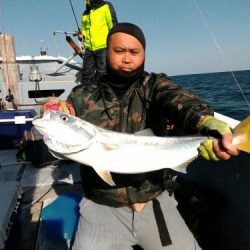 ファイヤードルフィン 釣果