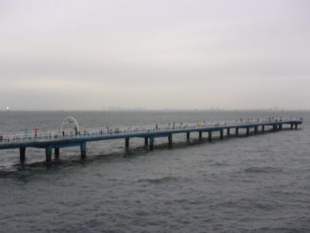 オリジナルメーカー海づり公園(市原市海づり施設) 釣果