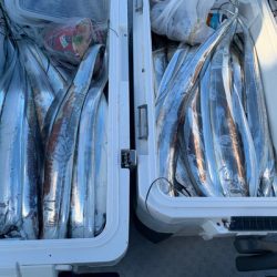 さんさん丸 釣果