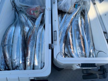 さんさん丸 釣果