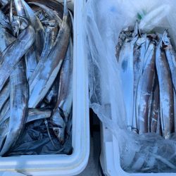 さんさん丸 釣果