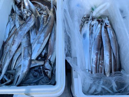 さんさん丸 釣果