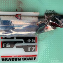 さんさん丸 釣果