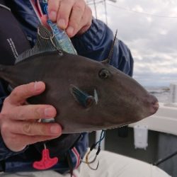 IDATEN(イダテン) 釣果