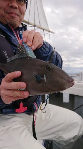 IDATEN(イダテン) 釣果