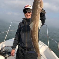 Magic(マジック) 釣果