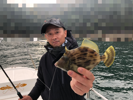 Magic（マジック） 釣果