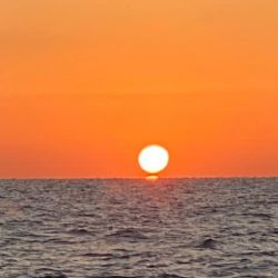 へいみつ丸 釣果