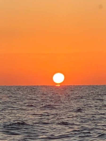 へいみつ丸 釣果