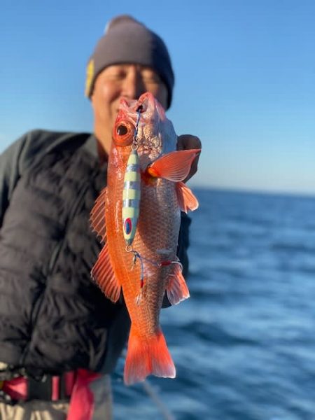 へいみつ丸 釣果