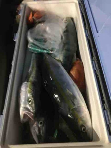 龍宮丸 釣果