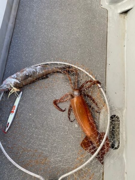 へいみつ丸 釣果