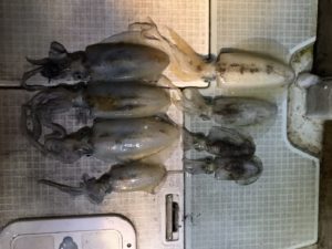 さぶろう丸 釣果