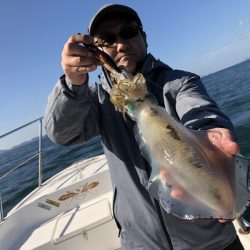 Magic(マジック) 釣果