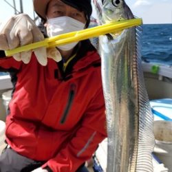 遊漁船 ニライカナイ 釣果