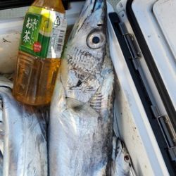 遊漁船　ニライカナイ 釣果