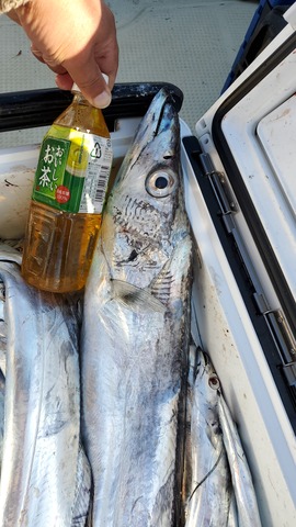 遊漁船　ニライカナイ 釣果