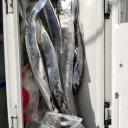 遊漁船 ニライカナイ 釣果