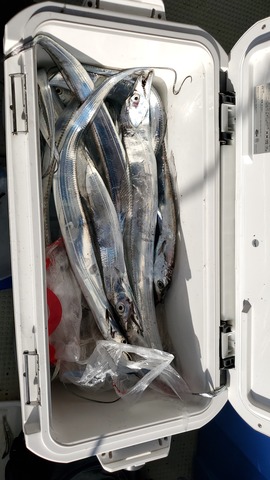 遊漁船 ニライカナイ 釣果